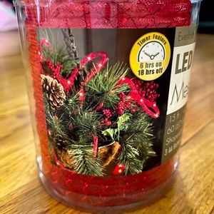 LED Lighted Mesh Rope Shapeable